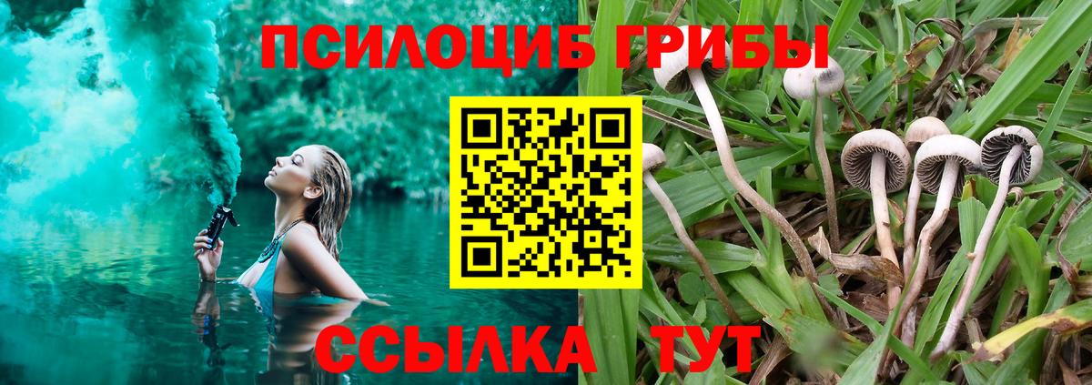 Миасс  Псилоцибиновые грибы Magic Shrooms  Вход с VPN 